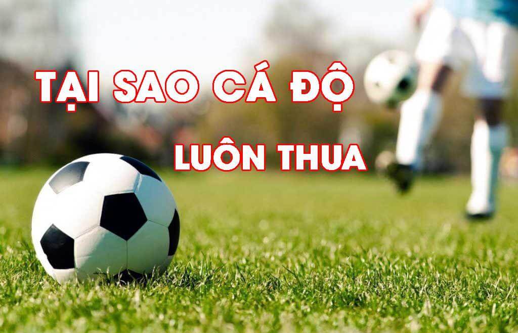 5 lý do khiến cá độ bóng đá Shbet mãi không thắng