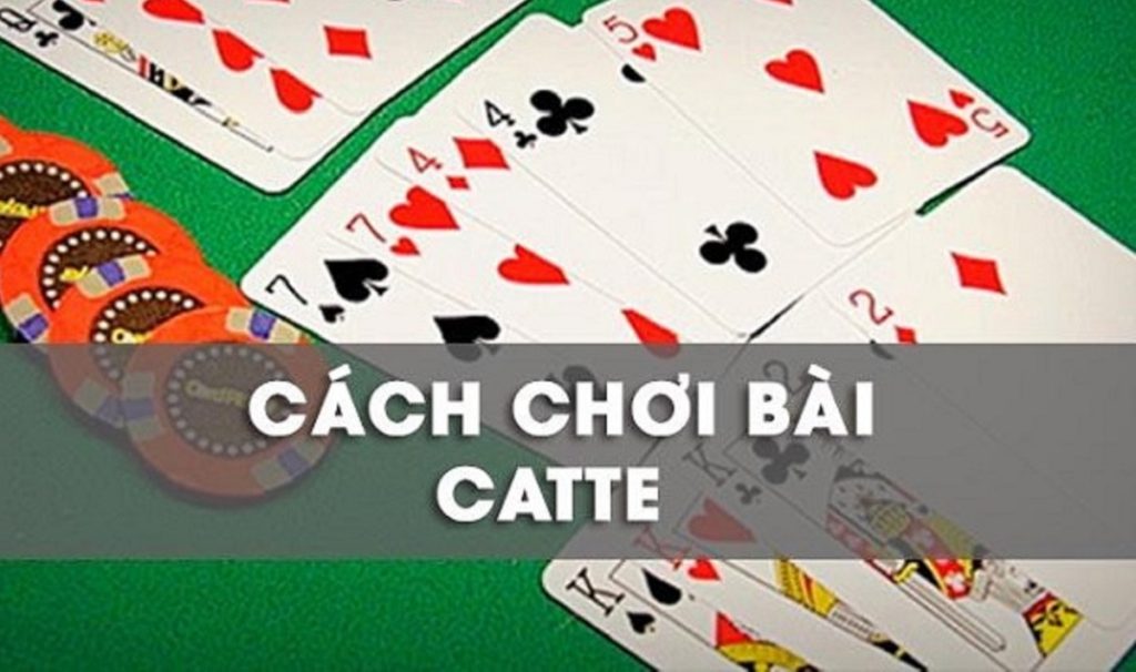 Catte là gì? Hướng dẫn chi tiết nhất về cách đánh bài Catte trực tuyến bất bại tại SHBET